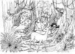 Wildlife