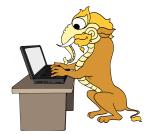 kocha-sa-with labtop