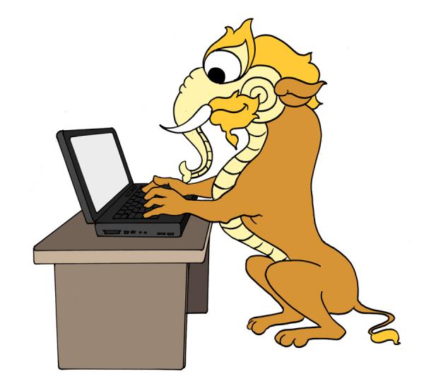 kocha-sa-with labtop