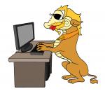 Kocha-sy with labtop