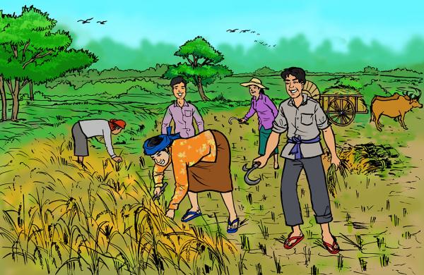 Khmer Farmers